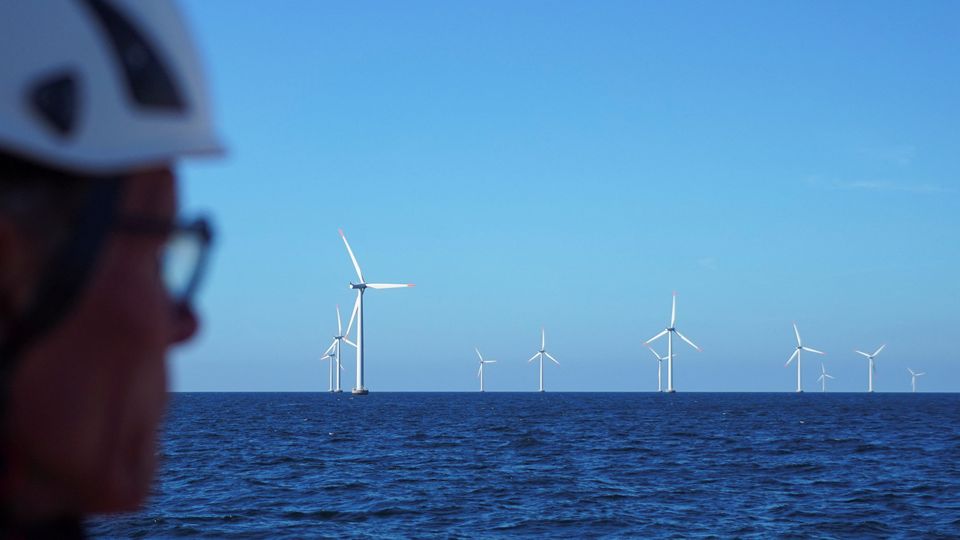 Titel: Windkraft im Meer: Die unausgesprochene Katastrophe