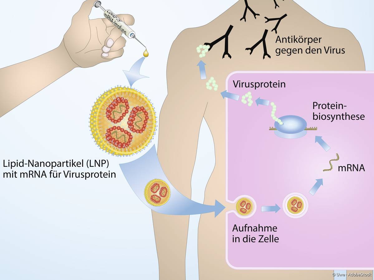 Forscher entdecken gefährliche Nebenwirkung bei mRNA-Impfstoffen