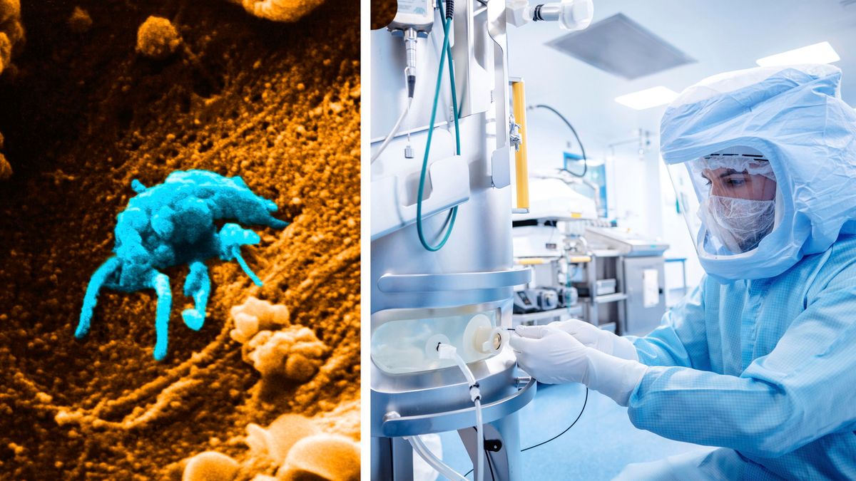 Neue Forschung wirft Schatten auf mRNA-Impfstoffe: Krebsfälle nach Impfungen alarmieren Experten