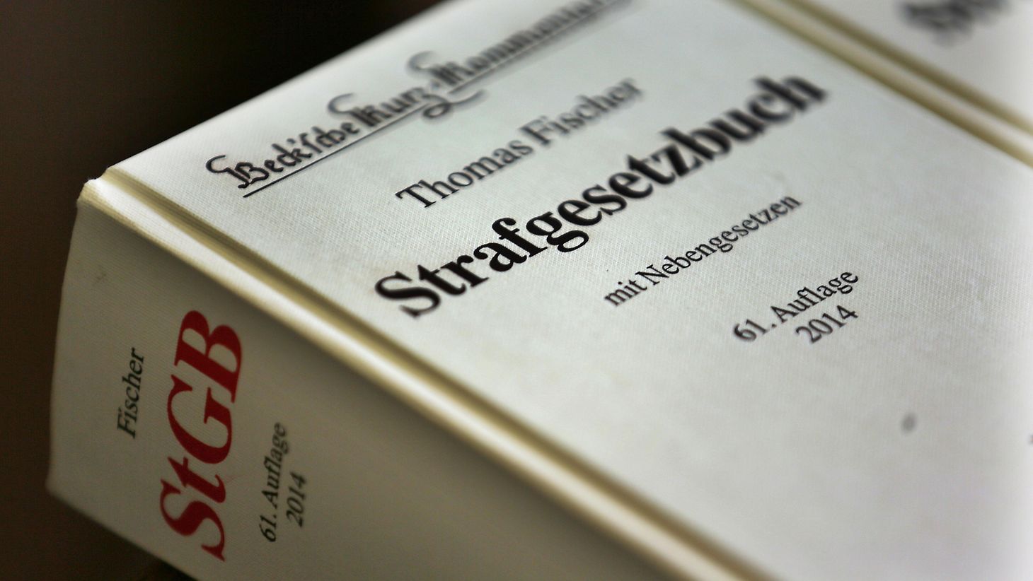 Gesetzespionage im Bundestag: AfD kämpft für Meinungsfreiheit gegen Majestätsbeleidigungsparagrafen