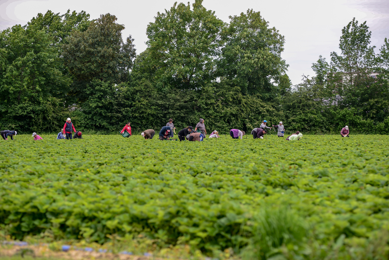 Zehn Jahre Machtmissbrauch: Marburgs Prozess gegen Djamal B. offenbart systematische Ausbeutung von Opfern