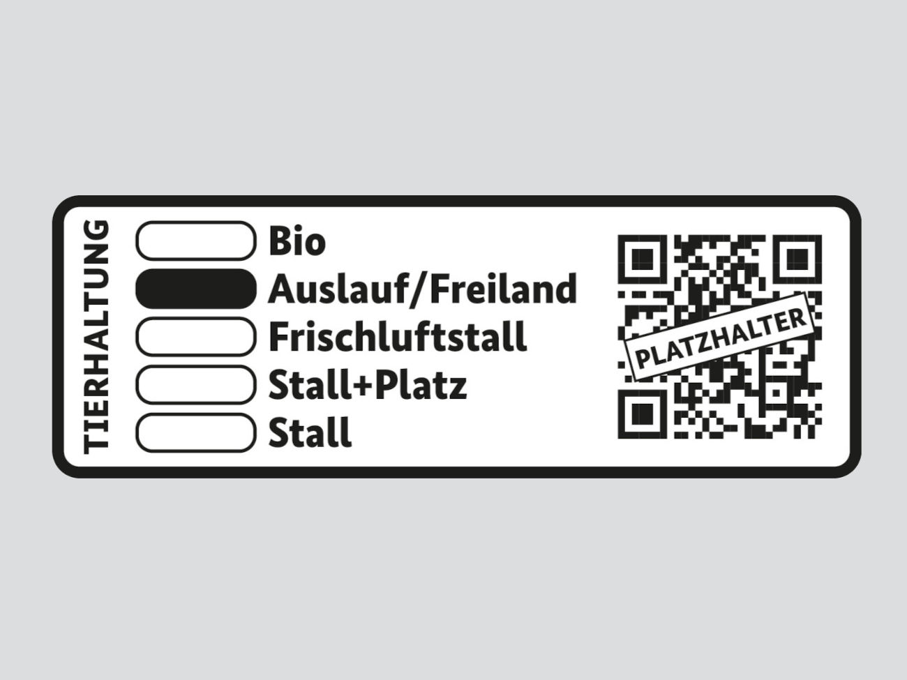 Staatliche Plünderung: Wie Deutschland die Bürger mit Klimasteuern in eine Wirtschaftskrise stürzt