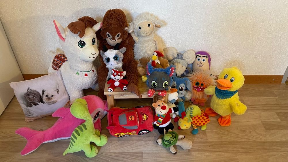 Plüschtiere für 30.000 Euro? Vinted wird zur Plattform für Kinderhandel
