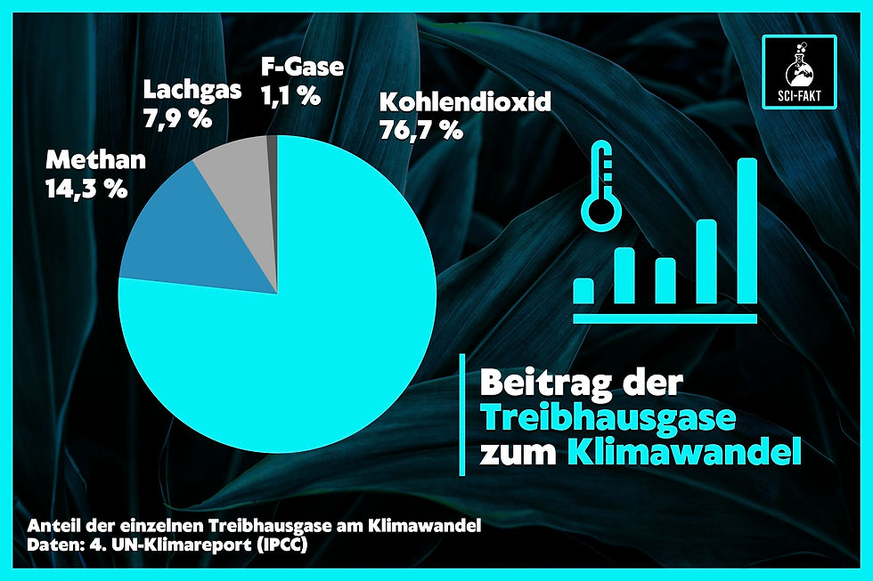 Methan-Strafen ausgesetzt – Der Energiemarkt drückt die EU