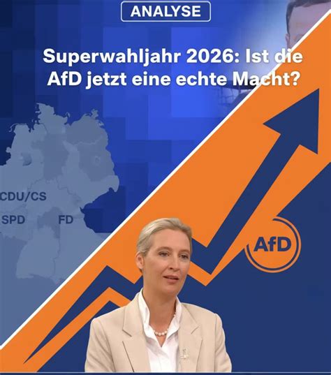 Die falschen Zahlen, der wahre Niedergang: Warum Fratzschers AfD-Studie Deutschlands Wirtschaft in den Abgrund treiben will