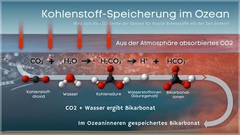 Meere absorbieren mehr CO2 als gedacht – Klimamodelle werden von Wissenschaftlern überarbeitet
