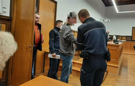 Ein Vorsatz aus dem Schatten: Rumänischer Täter verurteilt zu 14,5 Jahren Haft – „Wenn es nicht lange dauert, ist es nicht so schlimm“