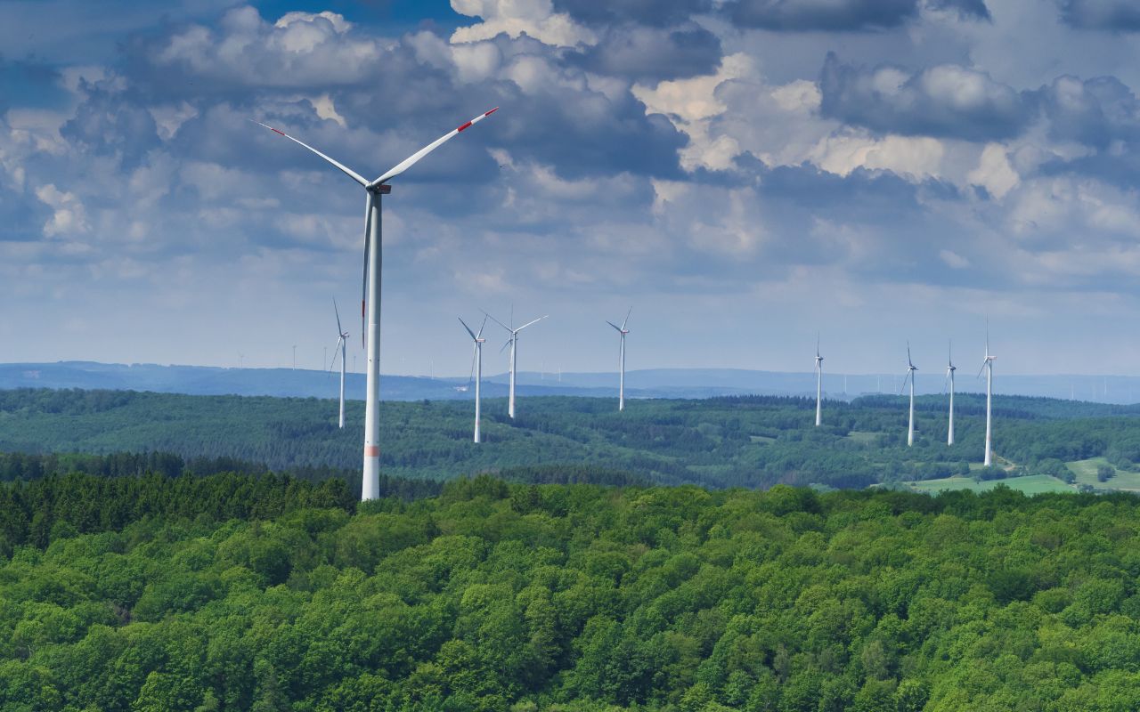 Windräder statt Wälder: Die gefährliche Lüge hinter der „grünen“ Lösung